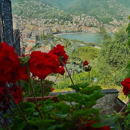 Villa Sunrise Rapallo